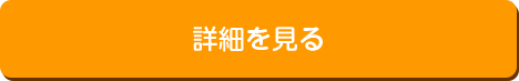 詳細を見る